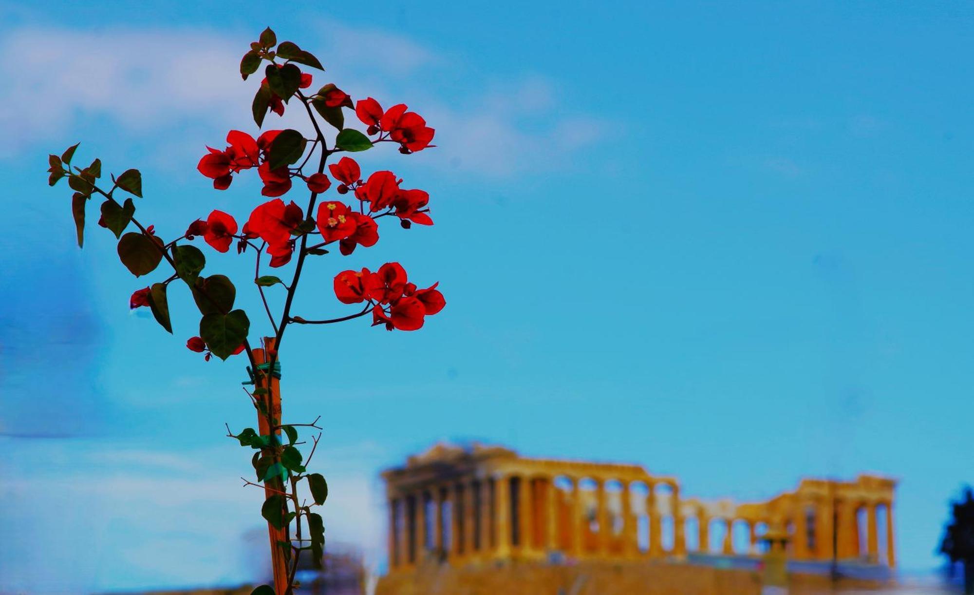 Absolute Athens Acropolis View Aparthotel Exterior photo